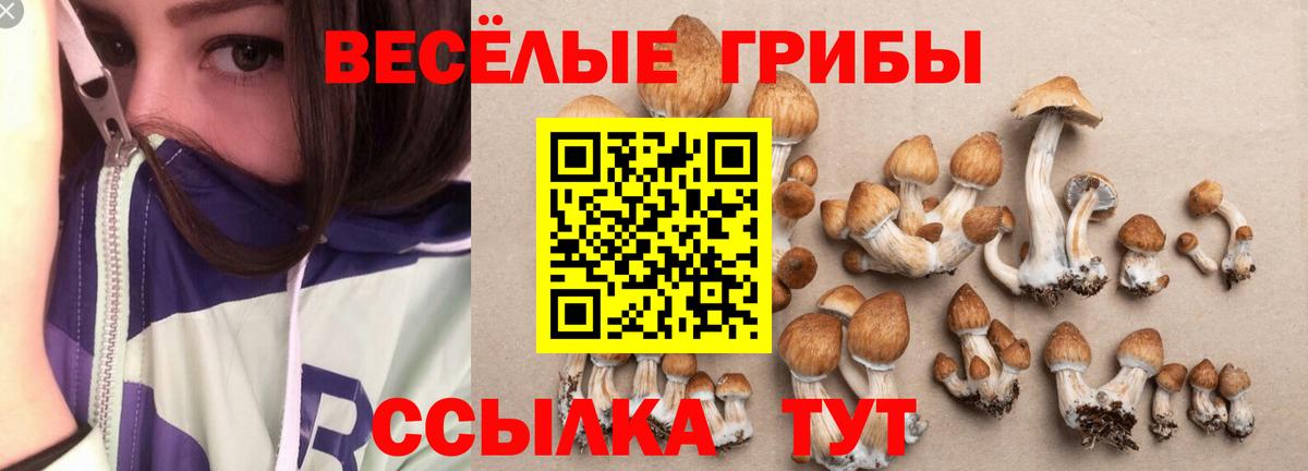 Галлюциногенные грибы Magic Shrooms  Вход с VPN  наркотики  Гудермес  Псилоцибиновые грибы Cubensis 